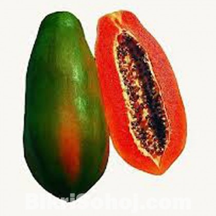 হাইব্রীড পেঁপে (Hybrid Papaya)